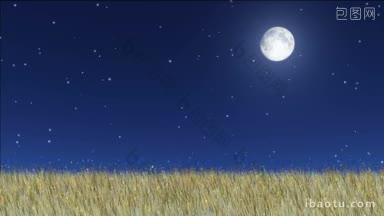 星星在夜空中闪烁，萤火虫在草地上飞舞